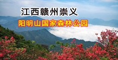 暴操淫荡女